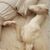 Julia Hicks Giacopetti's profile image
