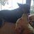 Bette Kutcher Schuette's profile image