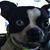 Janis Byrd's profile image