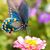 Ruth Ann Harper's profile image