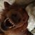 Andrew Kilchenman's profile image