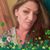 Kelly A McAndrew's profile image