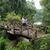 Lorri Richmond's profile image