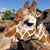 Bill Harber's profile image