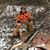 Anthony Zampini's profile image