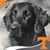 Doug Purington's profile image