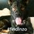 JoAnn Sullivan's profile image