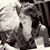 Kathy Krause's profile image