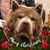 Karleen Miller Kettleson's profile image