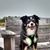 Lisa Flamand's profile image