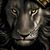 Sedrick Kerr's profile image
