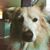 Wendy Wells's profile image
