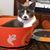Jerri Lynn Heinbaugh Kiefer's profile image
