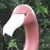 Stephanie Gardner's profile image