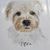 Sunnie Dringenberg's profile image
