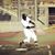 Talib DiNero Williams's profile image