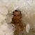 Sepp Foacha's profile image
