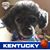 Donna Hammons's profile image