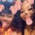 Shanetta Willis's profile image