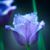 Paulette Daniels's profile image