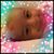 Yacoub Dabit's profile image