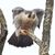 Eric Hartshaw's profile image