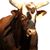 Clifton Parker's profile image