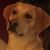 Rebecca Anderson's profile image