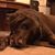 Sheri Roling's profile image