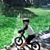 Zhao Jing's profile image