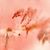 Shirley Mercer's profile image