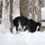 Robin Crosley Wright's profile image