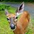 Christina Marchitto Burgess's profile image