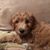 Pam Bennett Minkey's profile image