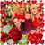 Karen Wills Wilson's profile image