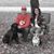 Valerie Davis's profile image