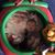 Judy Cangemi's profile image