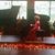Donna Brown's profile image