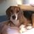 Natalie Pyles's profile image