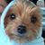 Helen Grace Birdsall-Baia's profile image