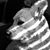 Glenda Burch's profile image