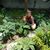 Dierdre Sam Canuet's profile image