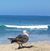 Korena Thompson's profile image
