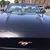 Beate Jardner's profile image