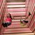 Erin Nixon Wilgus's profile image
