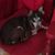 Joan Roxburgh's profile image