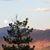 Nancy Coffelt's profile image