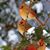 Diane Hall Durbin's profile image