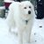 Nancy Perpich's profile image