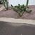 Linda Bengtson's profile image
